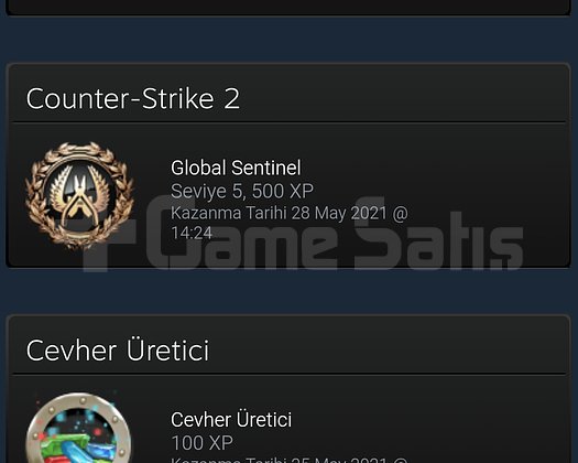 15 SEVİYE STEAM HESABİ DETAYLAR ACİKLAMADA