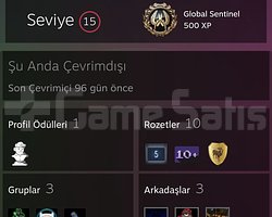 15 SEVİYE STEAM HESABİ DETAYLAR ACİKLAMADA