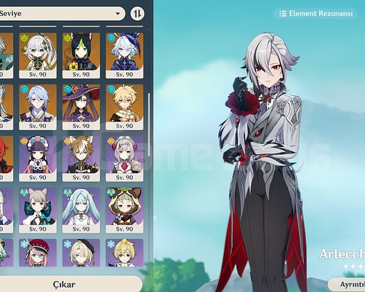 AR60 94x5  Whale Seviyesi Genshin Account