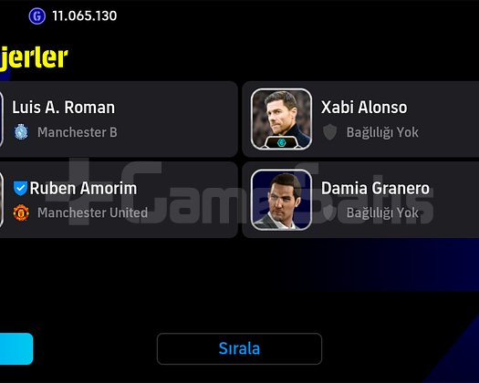 110 ibrahimoviç tek bağ 3222
