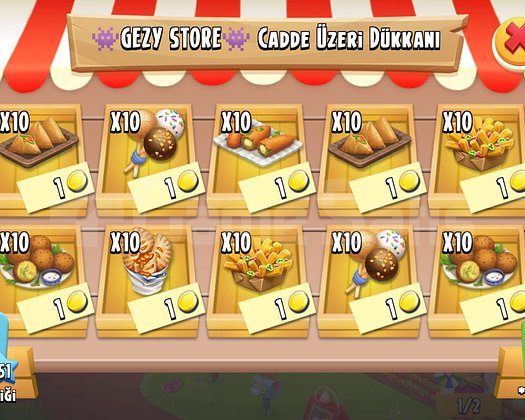100 ADET SEÇECEĞİNİZ FRİTÖZ ÜRÜNLERİ