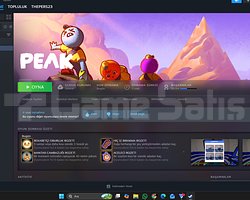 temi steam hesab tek oyunlu bilgiler degisir