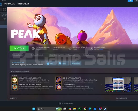 temi steam hesab tek oyunlu bilgiler degisir