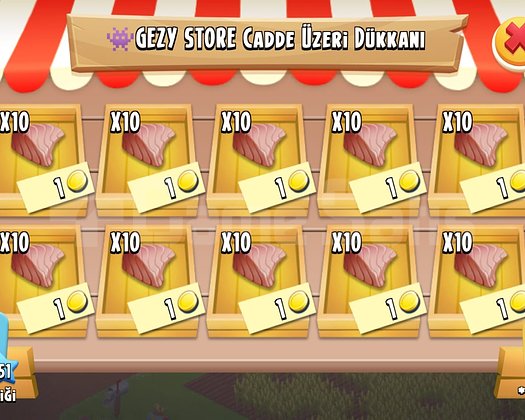 KAMPANYA 300 ADET BALIK FİLETO