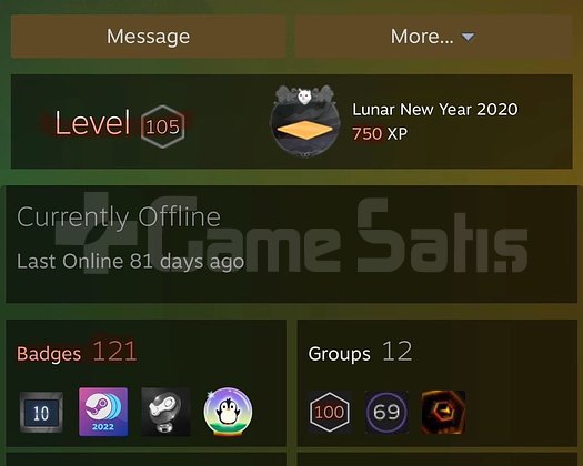 SATILIK STEAM ANA HESAP