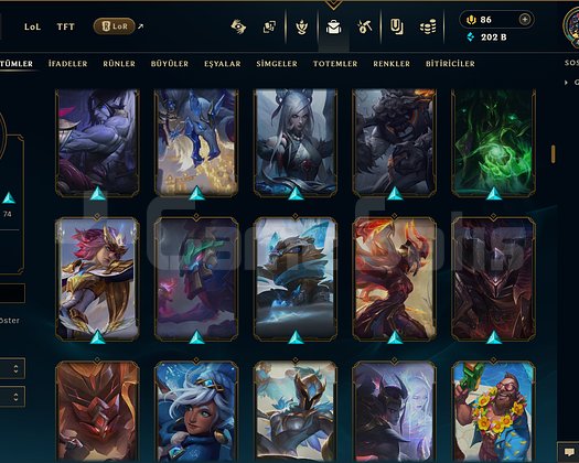 498 LEVEL / 220 SKİN / FUL HERO +MAİL +ELMAS
