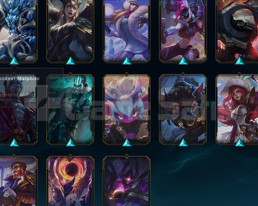 Euw+ 29 Skin 133 Level Hesap