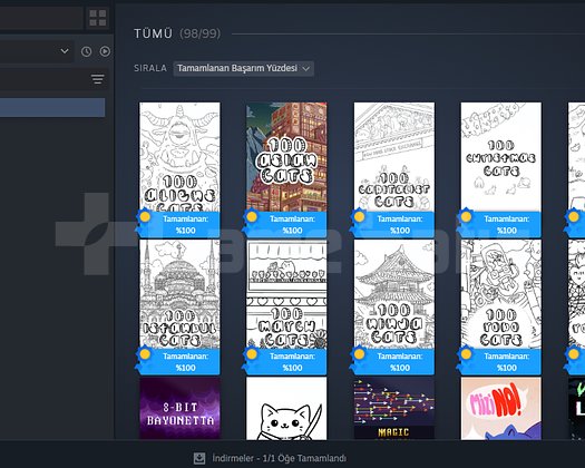 4 YILLIK STEAM HESABIMI SATIŞA KOYUYORUM