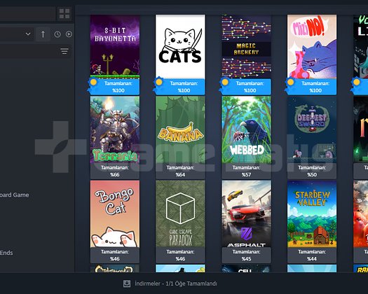 4 YILLIK STEAM HESABIMI SATIŞA KOYUYORUM