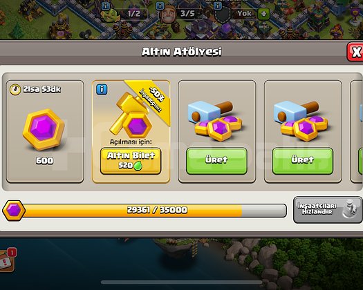 65 K BAŞKENT ALTINI