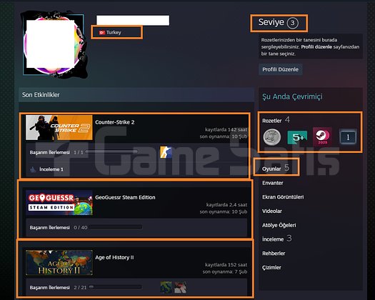 PRİME HESAP 12 LV FACEİT Hearts of Iron IV Age of
