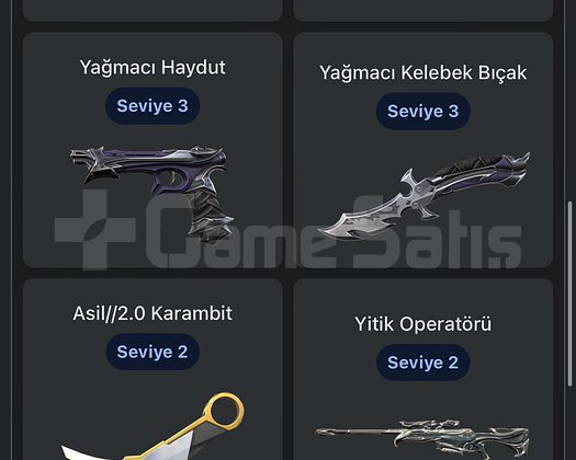 Güzel VALORANT hesabı