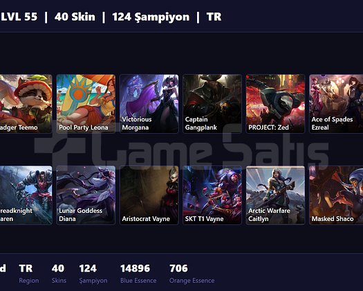 TR / 55 LVL + 40 SKİN + UNRANKED + RANK HAZIR