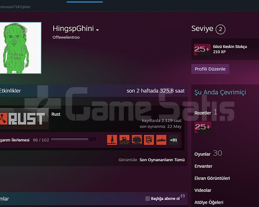 rust +2000 saat ilk mail +72 skin