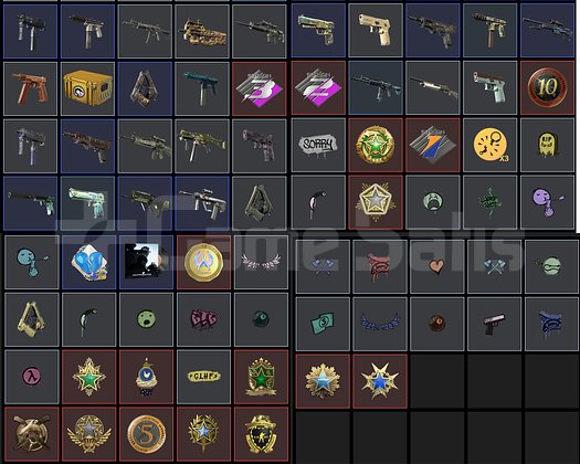 24 MADALYALI 25 LV SERİ MADALYA GTA V RUST PUBG PL