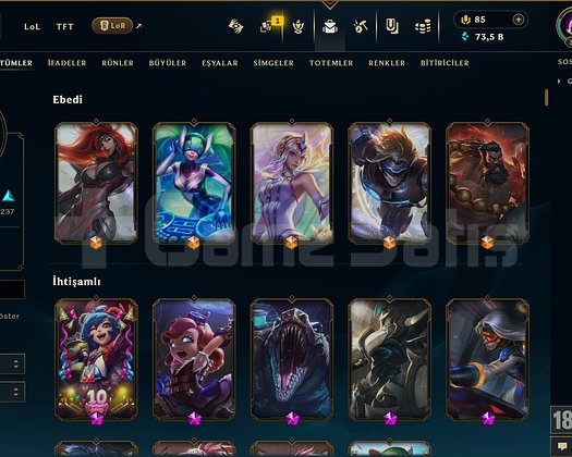 548 KOSTÜM 73K ÖZ 330 LVL EFSANE DOLU MAİL HESAP