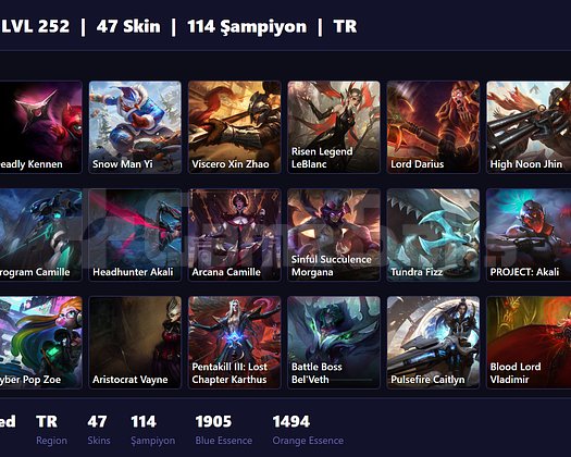 TR / 252 LVL + 47 SKİN + UNRANKED !!