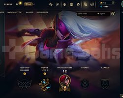 EUW Unranked | 6 Kostüm - 38 Hero | LoL Hesap