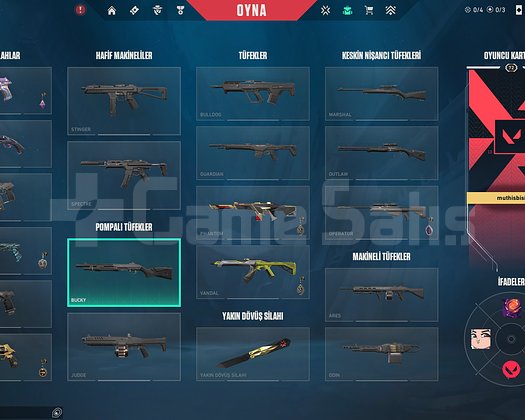 RADYANT PEAK 72 LEVEL CHAMPİONS VE SKİNLER YÜKSEK