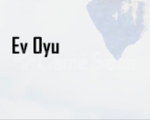 1024x EV OYU