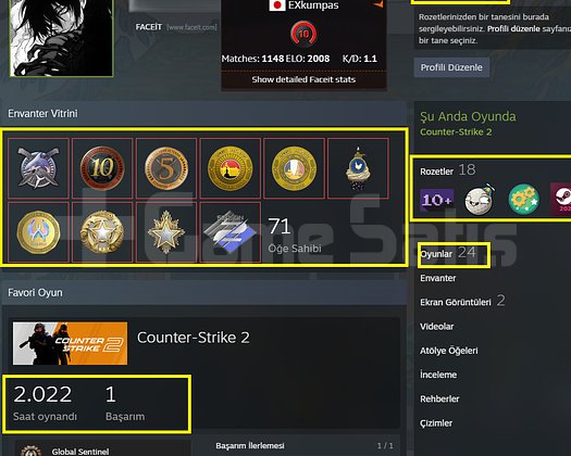 12 MADALYA FACEİT 10 LVL 40LVL STEAM MAİNLİK HESAP