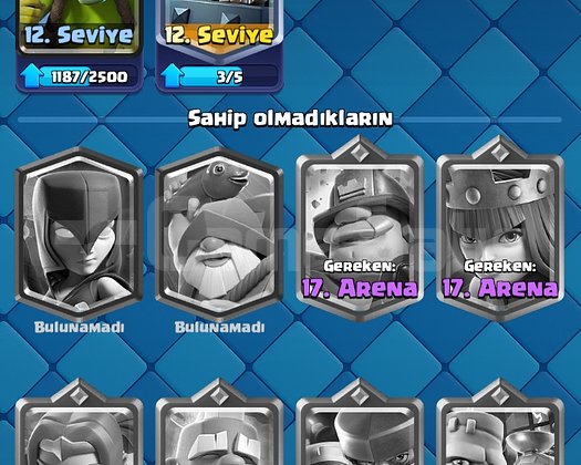5800KUPA 16.ARENA TEMİZ HESAP