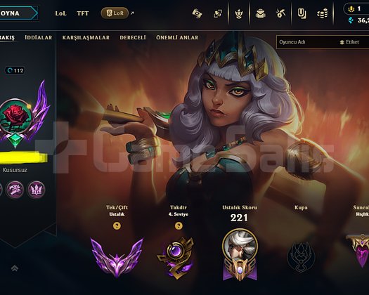 WEST MASTER +30 LP ALAN MAINLEMELIK HANDMADE HESAP