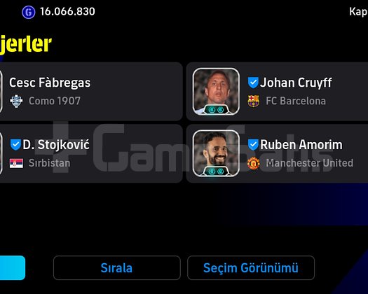 3247 KG TEK BAĞ