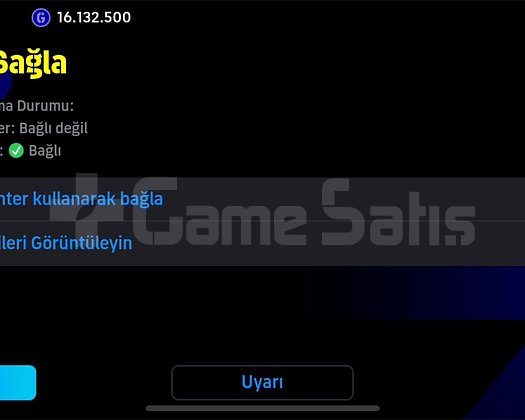 SATILIK MÜKEMMEL HESAP BU FİYATA BÖYLESİ YOK
