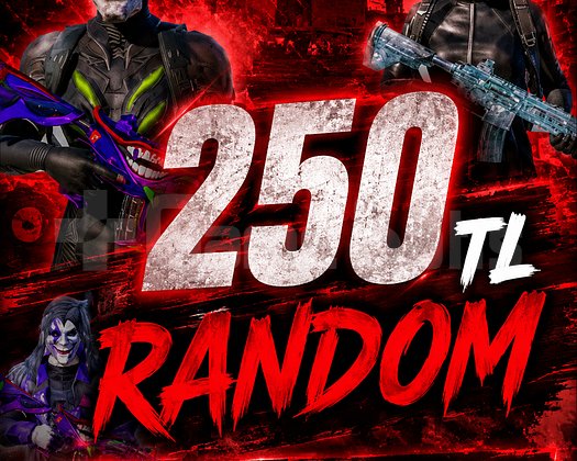 PUBG 250 TL RANDOM