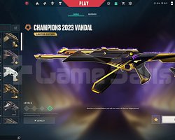 IMMORTAL MMR 2023 2025 VCT LOCK IN 22 23 25 CHMP