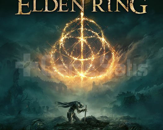 ELDEN RING PS4/PS5 + GARANTİ