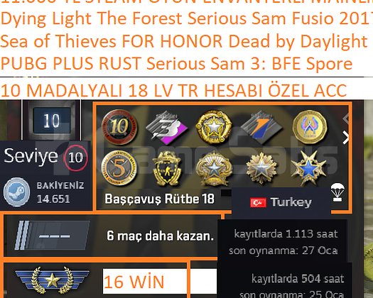 10 MADALYALI 18 LV TR HESABI RUST PUBG PLUS FOR HO