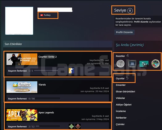 7 MADALYALI 25 LV 2250 TL STEAM OYUN ENVANTERLİ MA