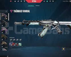 SATILIK BETA HESABI SKİNLİ
