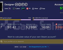 11 Madalya Mainlik Ömürlük Emek Cs/Steam hesabı