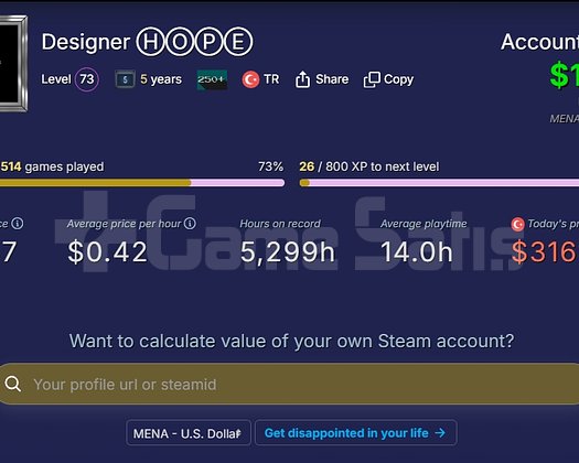 11 Madalya Mainlik Ömürlük Emek Cs/Steam hesabı