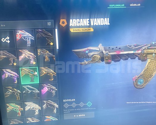 TR Full Skinli Valorant Hesabı  Birçok Premium sk