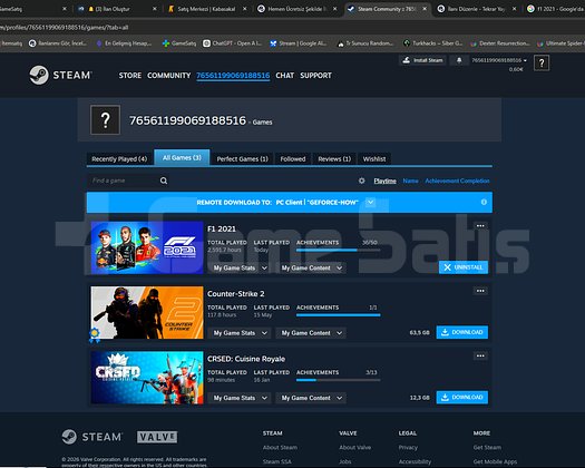 F1 2021 Steam Hesabı