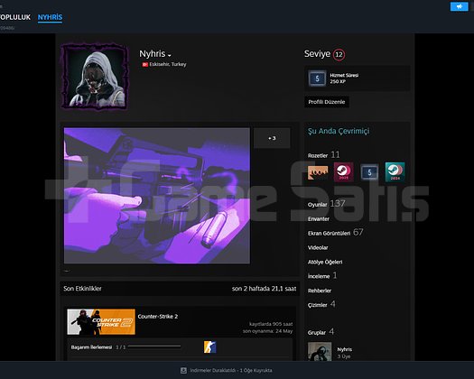 Steam Oyun Hesabı