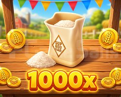 1000 ADET BEYAZ ŞEKER