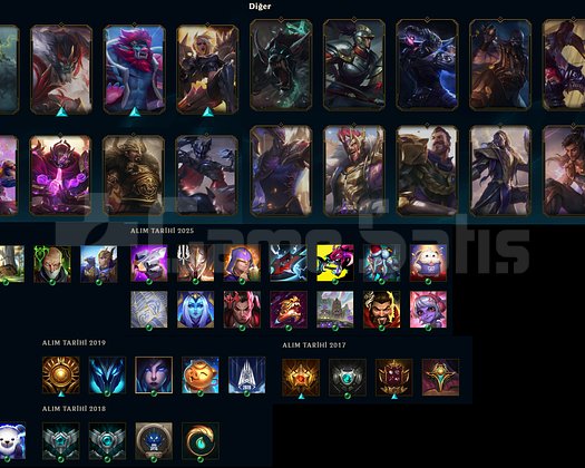 70 HERO 20 SKIN ZÜMRÜT MMR ACC