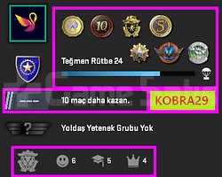 FACEİT+20K OYUN+ 7 MADALYA 320 WİN 745 SAAT SEÇKİN