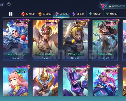 MOBILE LEGENDS 300+ KOSTUMLU HESAP