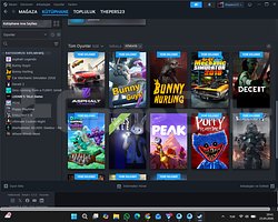 ucuz bilgiler degisir steam hesabı kacırma