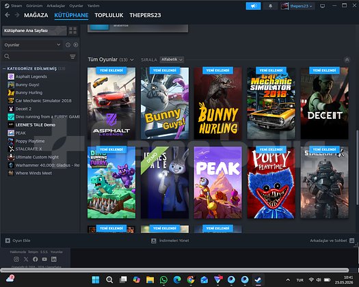 ucuz bilgiler degisir steam hesabı kacırma