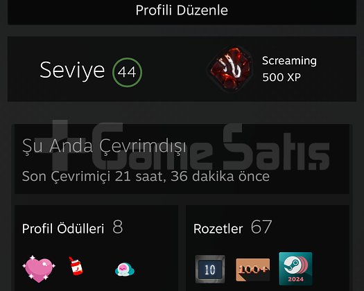 44 LVL STEAM HESABI