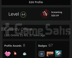 44 LVL STEAM HESABI