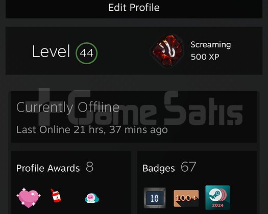 44 LVL STEAM HESABI