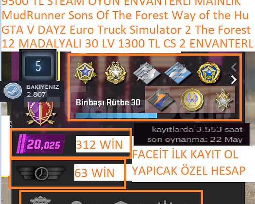 12 MADALYALI 30 LV FACEİT 1300 TL CS 2 ENVANTERLİ